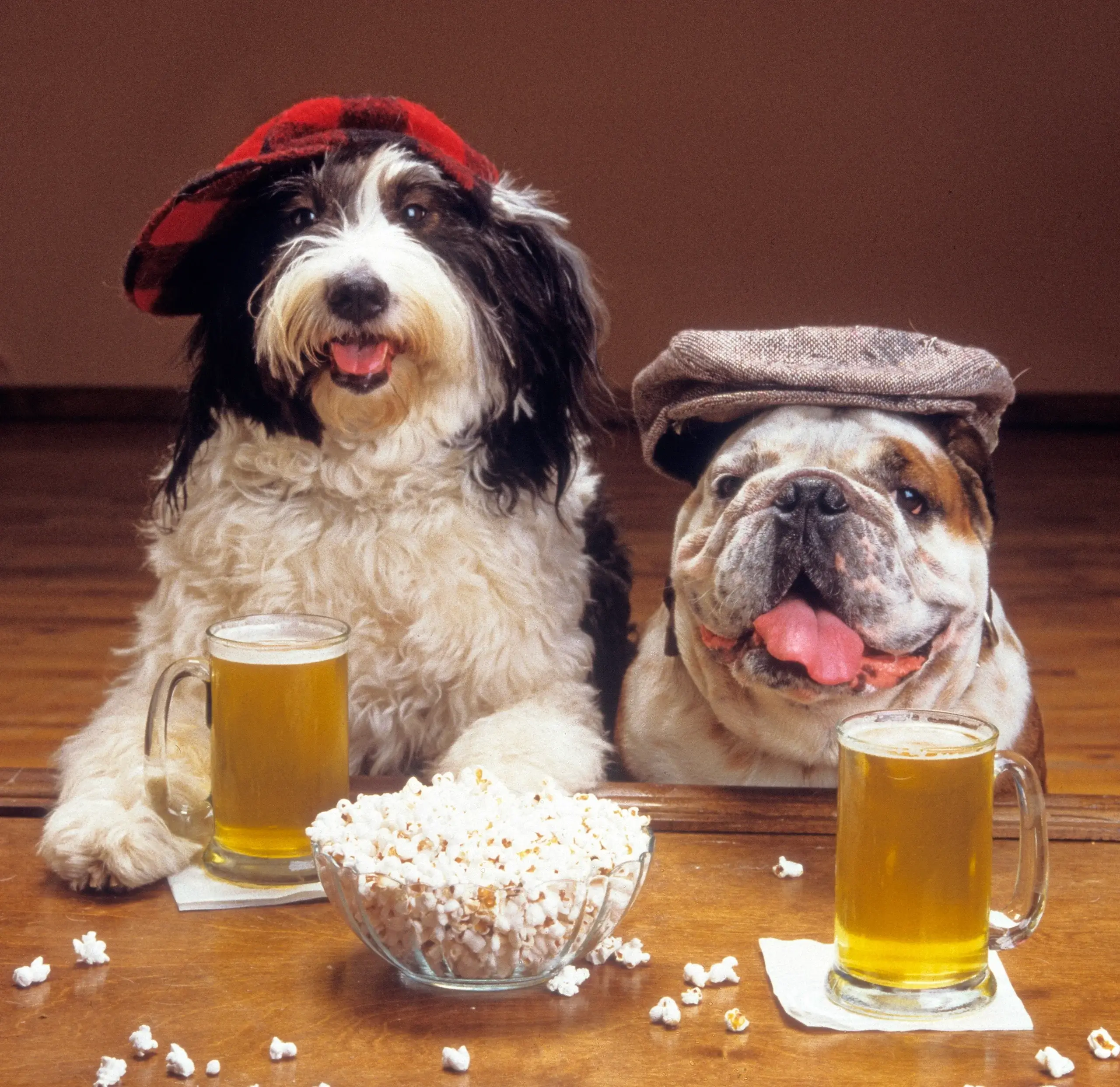 "Dogs enjoying a fun time at Paws On Tap in Whitestown, a dog-friendly craft beer bar"